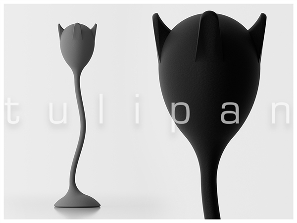 Tulipan
